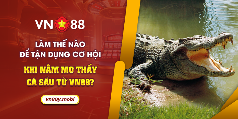 66 Lam the nao de tan dung co hoi khi nam mo thay ca sau tu VN88