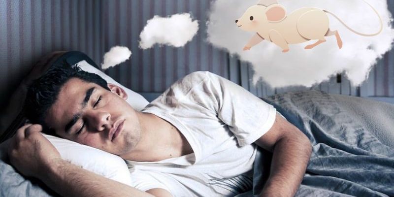 Giải mã khi nằm mơ thấy chuột tại VN88: Điềm báo và ý nghĩa 3 Ý nghĩa của giấc mơ này và cách xử lý